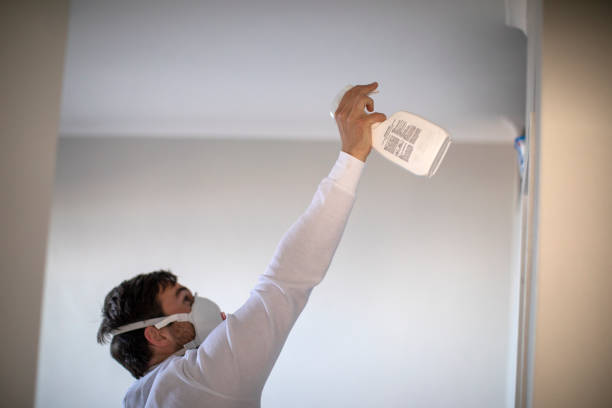 Best Certified Mold Removal  in Alpena, MI